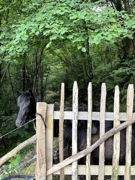 Casa Rural Gaztandizabal Aia Luaran gambar